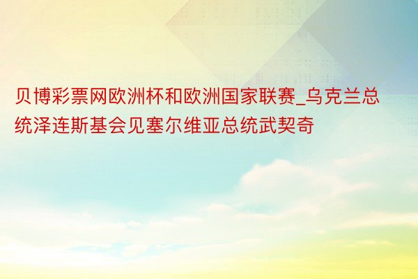 贝博彩票网欧洲杯和欧洲国家联赛_乌克兰总统泽连斯基会见塞尔维亚总统武契奇